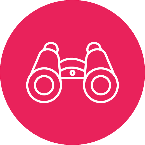 Vision icon